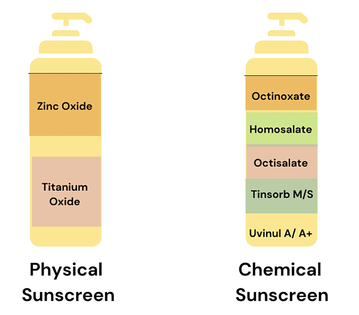 Chemical VS Physical Sunscreen